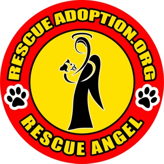 Rescue Adoption